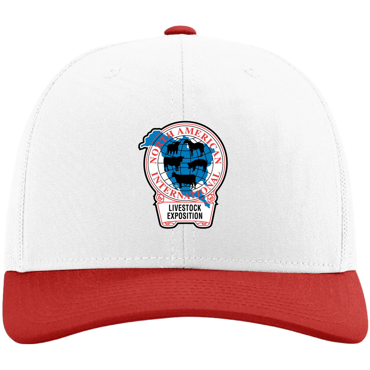Retro NAILE Logo Structured Hat