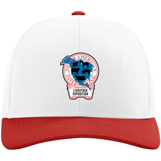 Retro NAILE Logo Structured Hat